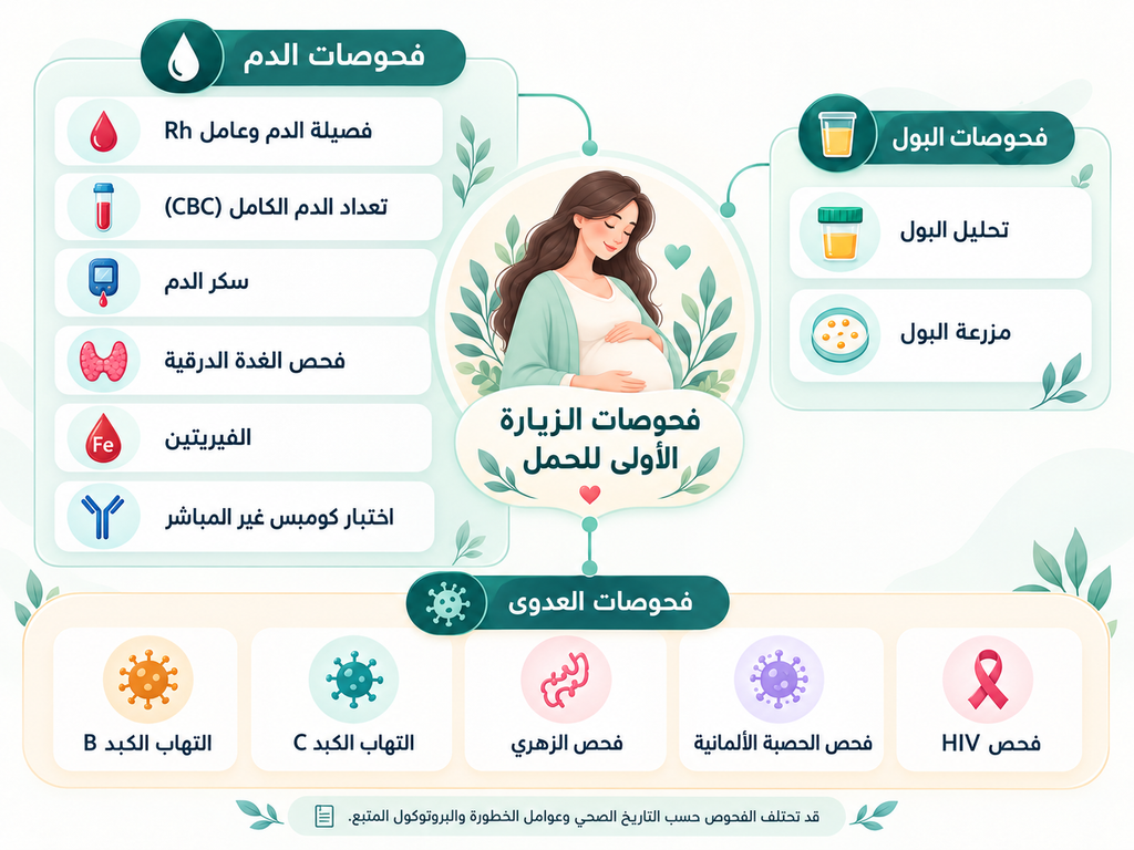 مخطط دليل الحمل والولادة يوضح فحوصات بداية الحمل والعناية اليومية في الزيارة الأولى