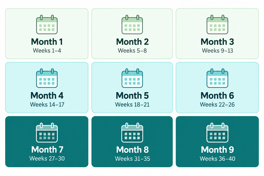 Illustrative chart of the pregnancy-by-weeks table showing the conversion between pregnancy weeks and months