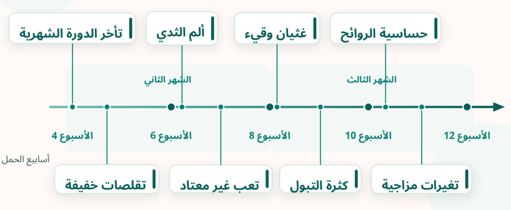 مخطط زمني لأعراض الحمل في الثلث الأول يوضح ظهور الأعراض من الأسبوع الرابع حتى الأسبوع الثاني عشر