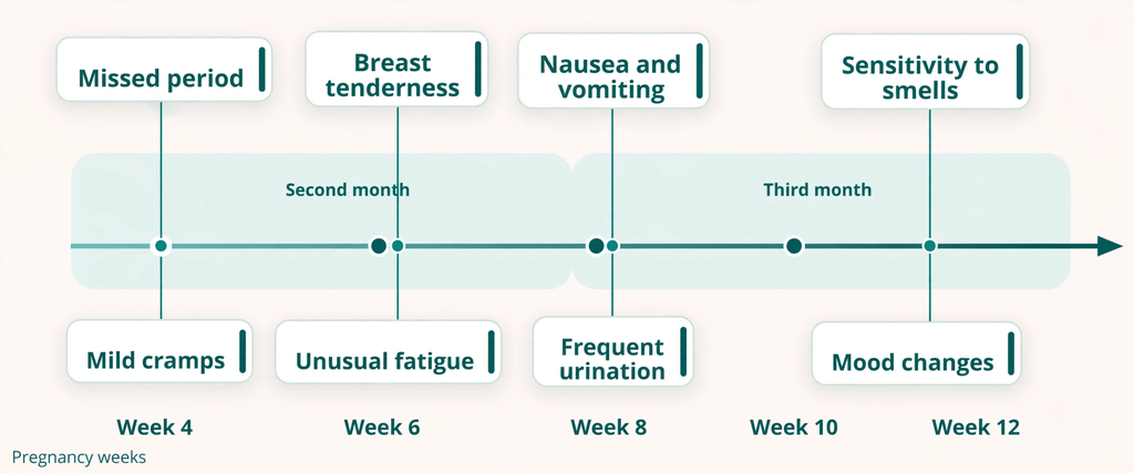 A timeline of first-trimester pregnancy symptoms, illustrating the onset of symptoms from week 4 to week 12.