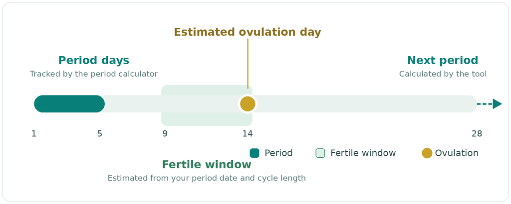Timeline diagram of the menstrual cycle showing period days, the estimated ovulation day, and the fertile window.