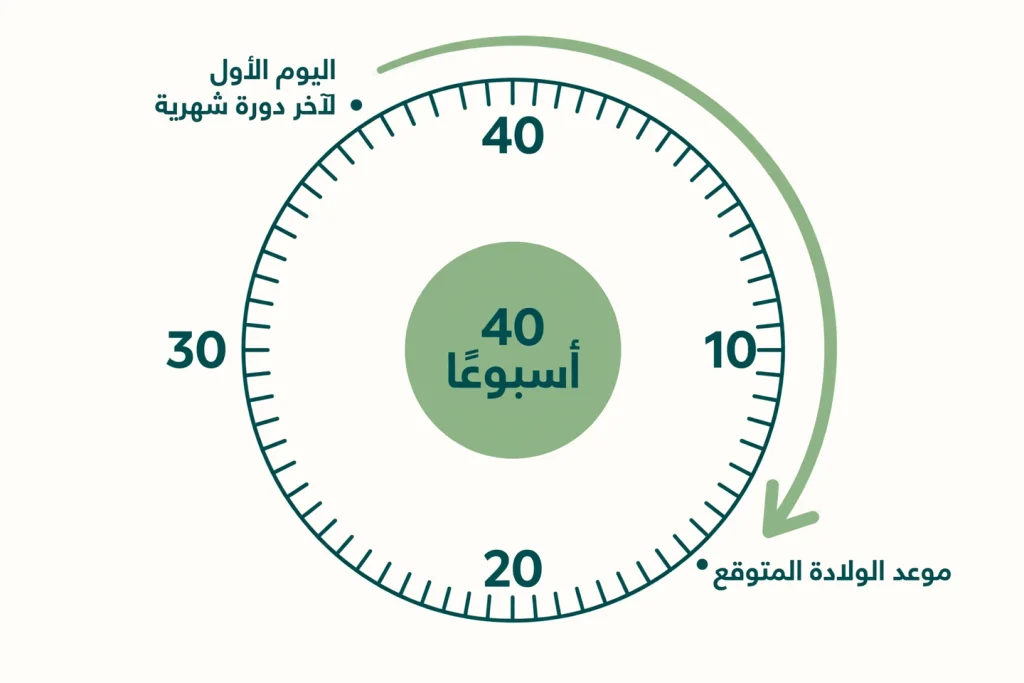 مخطط عجلة الحمل يوضح طريقة حساب الحمل الصحيحة من أول يوم لآخر دورة حتى موعد الولادة بعد 40 أسبوعًا